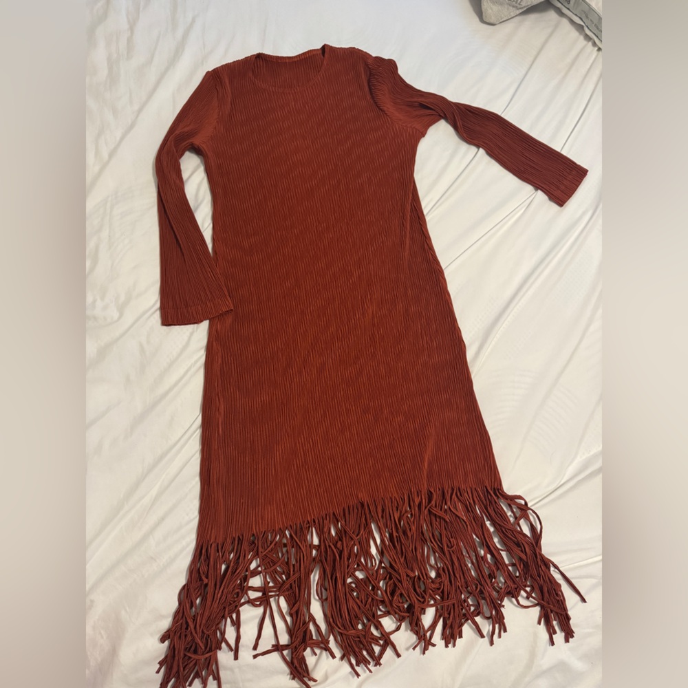 Fringed Dress